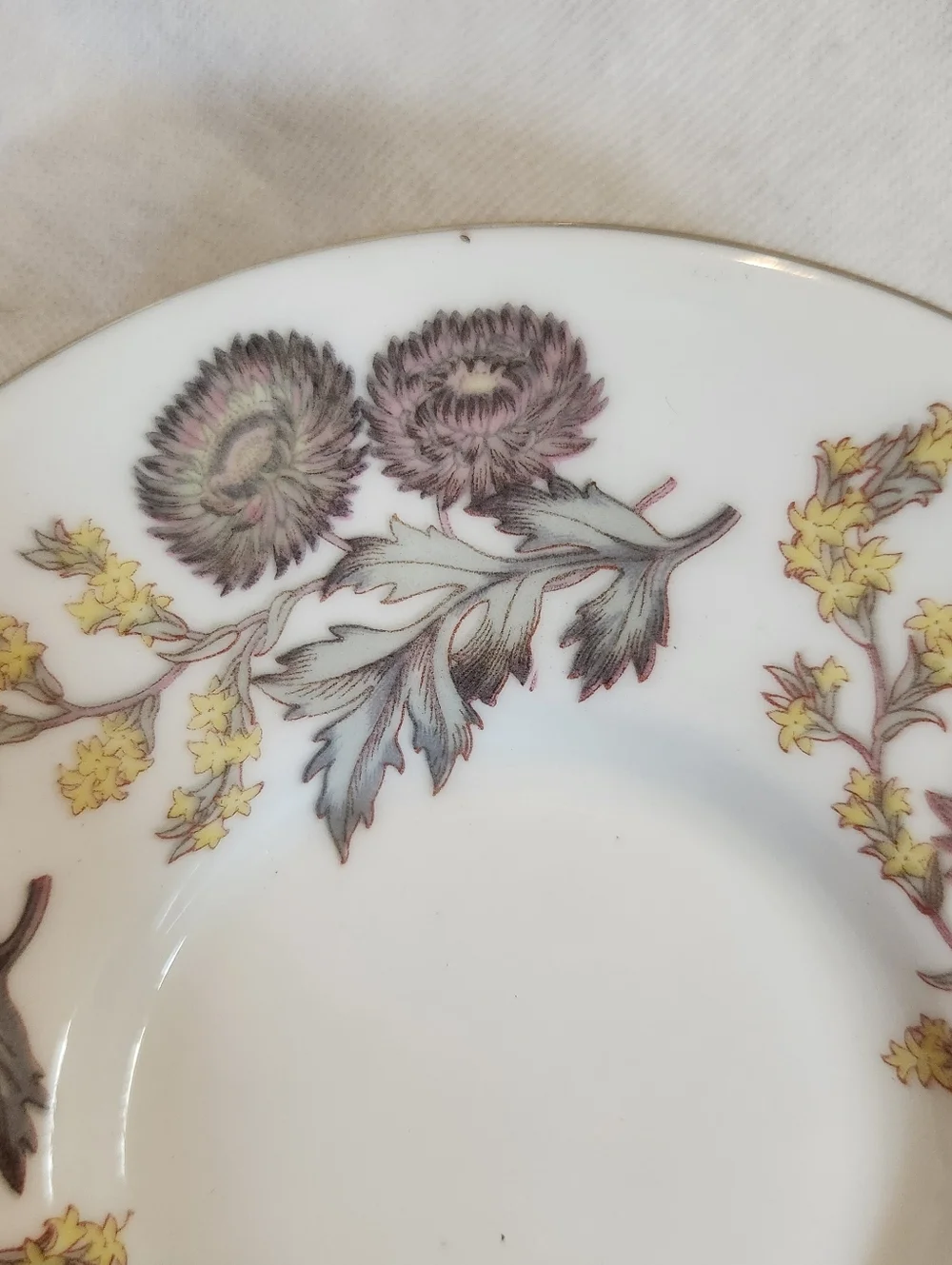 Wedgwood Lichfield Bone China Saucer Set 8 Floral Gold Rim England Vintage